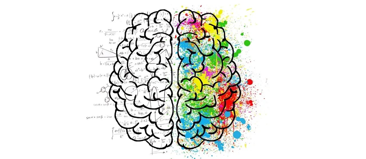 Los 5 componentes de la creatividad